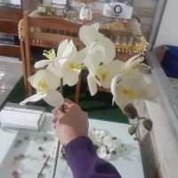 گل مصنوعی ارکیده|گل مصنوعی|اصفهان, جلالیه|دیوار