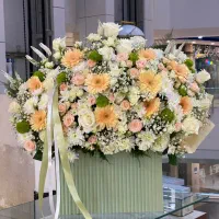 تشریفات نامزدی باکس گل/کیک/خنچه