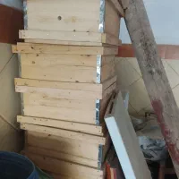 ۱۵عدد طبق زنبور