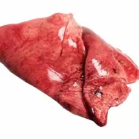 سفیده گوسالع