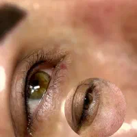 مدل شیدینگ لب و میکرو ابرو|خدمات آرایشگری و زیبایی|بندر کنگان, |دیوار