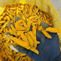 پخش کلیه اقلام عطاری (استوا)