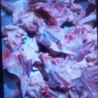 اسکلت وگردن مرغ