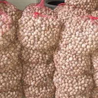 گردو|خوردنی و آشامیدنی|اصفهان, شفق|دیوار