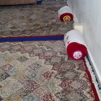 فرش 6متری جفت هم|فرش|اهواز, کوی رمضان|دیوار