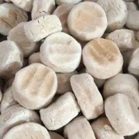 کشک گوسفنذی بز|خوردنی و آشامیدنی|دزفول, |دیوار