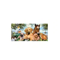 سر پرستی تمام حیوانات|پرنده|تهران, هلال احمر|دیوار