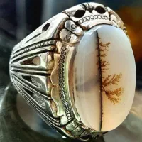 انواع شجر وفیروزه بشرط کارشناسی ببر925