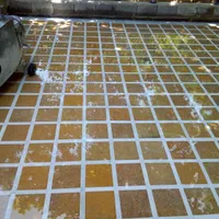 کاشی ساب و کاشی سابی با کیفیت|خدمات نظافت|شیراز, پودنک|دیوار