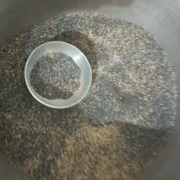 بذردرجه‌یک‌گوجه‌ای‌درجه‌یک