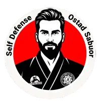 آموزش دفاع شخصی حرفه ای