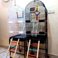 قفس پرنده با تمامی لوازم فقط 2000 با تخفیف