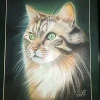 نقاشی گربه با پاستل کچی