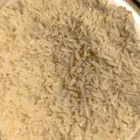 برنج طارم محلی