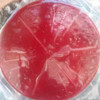 لواشک گرد ترش و خوشمزه