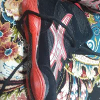 کفش کشتی|کیف، کفش، کمربند|نورآباد ممسنی, |دیوار