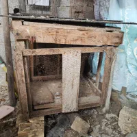 ۲ عدد لانه مرغ،خروس،جوجه