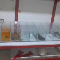 جا ادویه|فروشگاه و مغازه|اهواز, پردیس دو|دیوار