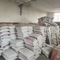 گندم پیشگام|خدمات باغبانی و درختکاری|مهاباد (آذربایجان غربی), |دیوار