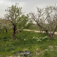 زمین دماوند جابان ۳۹۰متر سند تک برگ اقساط