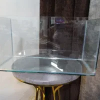 آکواریوم با ماهی