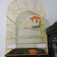 قفس بزرگ درحد نو