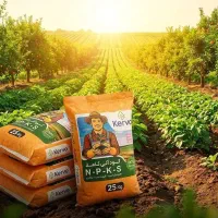 باغ-پسته-1هکتار-جنت-آباد-قبل-از-امامزاده-علی