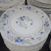 ظروف سرویس پذیرایی ارکوپال پارس اوپال