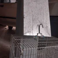 قفس غلامی سایز ۴ سهره|لوازم جانبی حیوانات|کرج, عظیمیه|دیوار