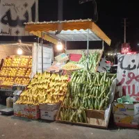 گاری|فروشگاه و مغازه|مشهد, سازمان آب|دیوار