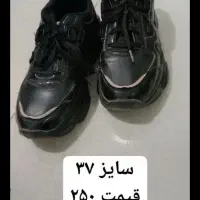 کفش در حد نو|کیف، کفش، کمربند|جوانرود, |دیوار