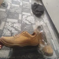 کفش اورجینال
