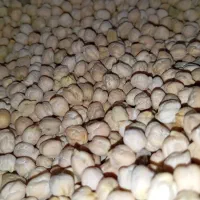 مواد غذای و خشکبار و برنج حبوبات|خوردنی و آشامیدنی|آبیک, |دیوار