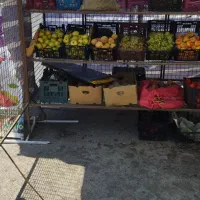 قفس و میز سایبان دار|فروشگاه و مغازه|صحنه, |دیوار