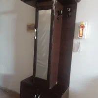 جاکفشی در حد