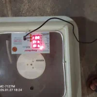 دستگاه جوجه کشی