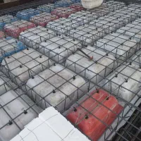 استخدام آرماتوربند|استخدام معماری، عمران و ساختمانی|اندیشه, اندیشه فاز ۴|دیوار