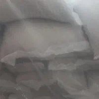 برنج فجر امسال