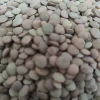 حبوبات|عمده‌فروشی|ماهدشت, |دیوار