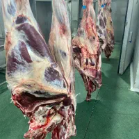 قصاب ماهر