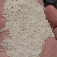 برنج درجه یک هاشمی