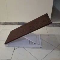 رمپ سگ و گربه