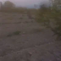 زمین-کشاورزی-کوصحرا-بر-جاده-اصلی