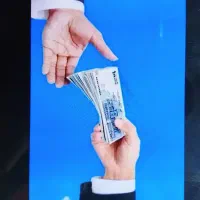 ضامن مهربانی