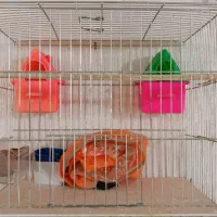 قفس پرنده با وسایل کامل