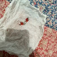 فیوز رادیو قرمز