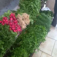 سبزی نیشابوروسبزیجات وصیفی جات بسته بندی نیشابور|خوردنی و آشامیدنی|مشهد, همت آباد|دیوار
