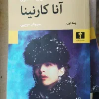 مجموعه کتاب دو جلدی آنا کارنینا