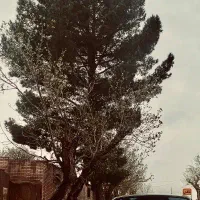 قرارداد دارایی ، سرعین ( ایردموسی)