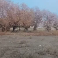 زمین ۱۸قصبی